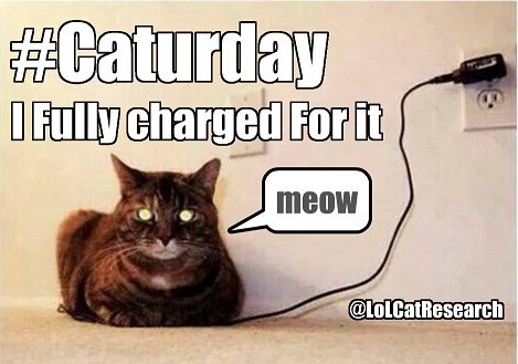 LoL-Cat-Research-caturday-plug.jpg