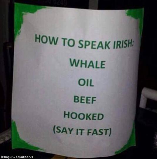 5b15abd593758_howtospeakirish.thumb.jpg.4e31ce5595a7fb6549e1ec12bc91018c.jpg
