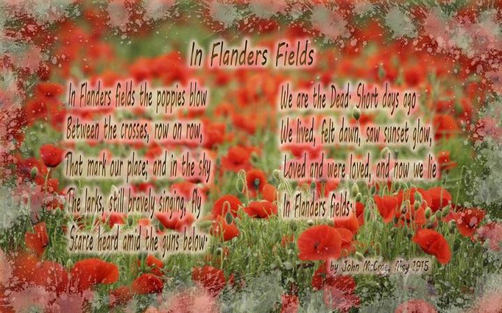 memorial-day-in-flanders-fields-typography-georgeta-blanaru.jpg